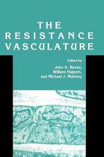 Resistance Vasculature