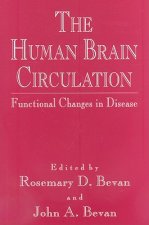 Human Brain Circulation