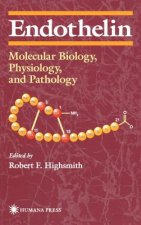 Endothelin