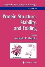 Protein Structure, Stability, and Folding