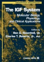 IGF System