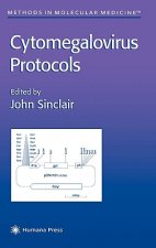 Cytomegalovirus Protocols