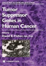 Tumor Suppressor Genes in Human Cancer