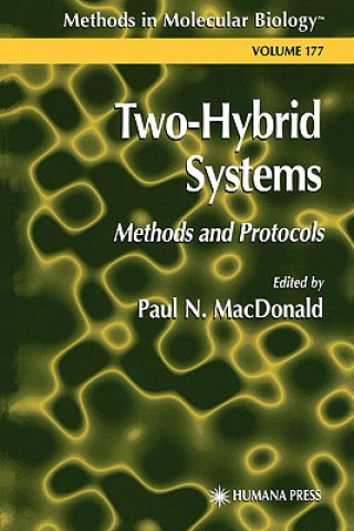 Two-Hybrid Systems