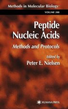 Peptide Nucleic Acids