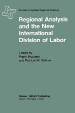 Regional Analysis and the New International Division of Labor