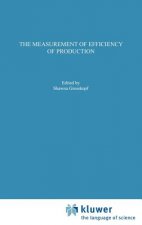 Measurement of Efficiency of Production