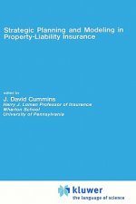 Strategic Planning and Modeling in Property-Liability Insurance
