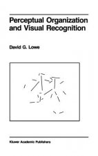 Perceptual Organization and Visual Recognition