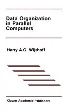 Data Organization in Parallel Computers
