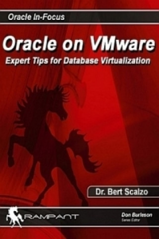 Oracle on VMWare