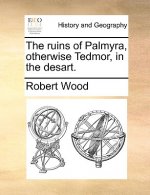 Ruins of Palmyra, Otherwise Tedmor, in the Desart.