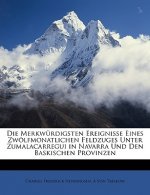 Die merkwürdigsten Ereignisse eines zwölfmonatlichen Feldzuges unter Zumalacarregui in Navarra und den baskischen Provinzen. Erster Theil.