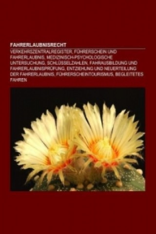 Fahrerlaubnisrecht
