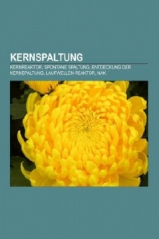 Kernspaltung