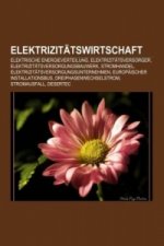 Elektrizitätswirtschaft