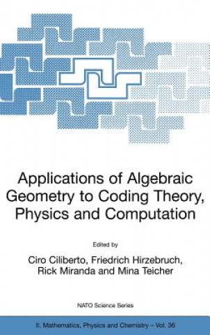 Applications of Algebraic Geometry to Coding Theory, Physics and Computation
