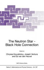 Neutron Star-Black Hole Connection