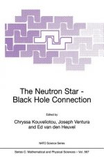 Neutron Star-Black Hole Connection