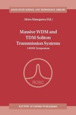 Massive WDM and TDM Soliton Transmission Systems