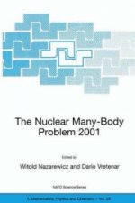 The Nuclear Many-Body Problem 2001