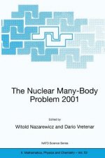 Nuclear Many-Body Problem 2001