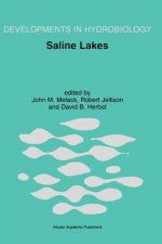 Saline Lakes