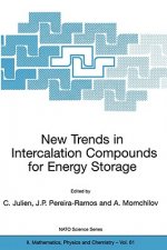 New Trends in Intercalation Compounds for Energy Storage