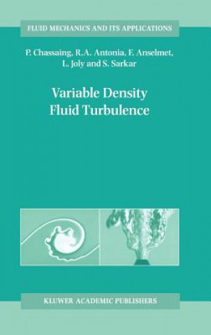 Variable Density Fluid Turbulence