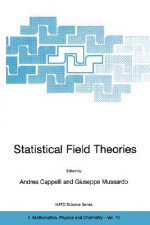 Statistical Field Theories