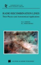 Radio Recombination Lines