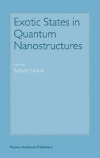 Exotic States in Quantum Nanostructures