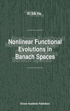 Nonlinear Functional Evolutions in Banach Spaces
