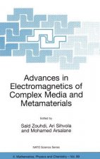 Advances in Electromagnetics of Complex Media and Metamaterials