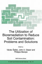 Utilization of Bioremediation to Reduce Soil Contamination: Problems and Solutions