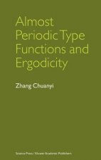 Almost Periodic Type Functions and Ergodicity
