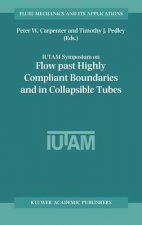 Flow Past Highly Compliant Boundaries and in Collapsible Tubes