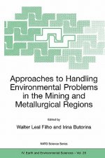 Approaches to Handling Environmental Problems in the Mining and Metallurgical Regions