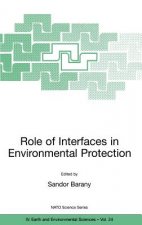 Role of Interfaces in Environmental Protection