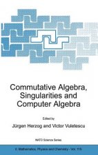 Commutative Algebra, Singularities and Computer Algebra
