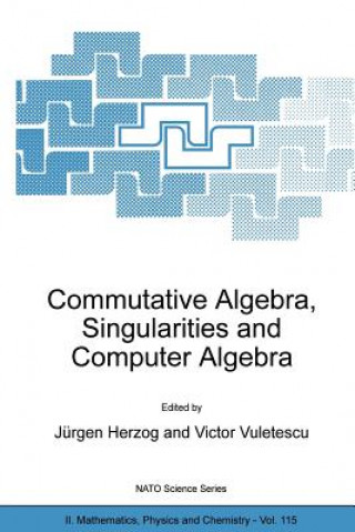 Commutative Algebra, Singularities and Computer Algebra