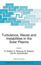 Turbulence, Waves and Instabilities in the Solar Plasma