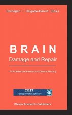 Brain Damage and Repair