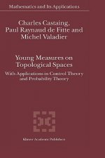 Young Measures on Topological Spaces