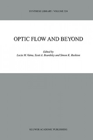 Optic Flow and Beyond