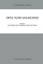 Optic Flow and Beyond