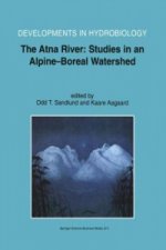 Atna River