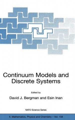 Continuum Models and Discrete Systems