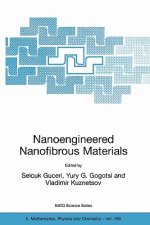 Nanoengineered Nanofibrous Materials