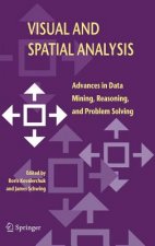 Visual and Spatial Analysis